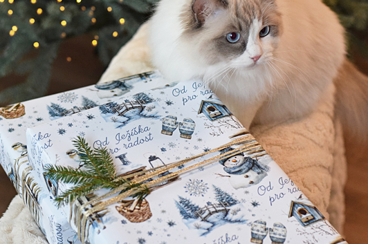 balicí papíry 2025